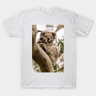 Koalas 1 T-Shirt